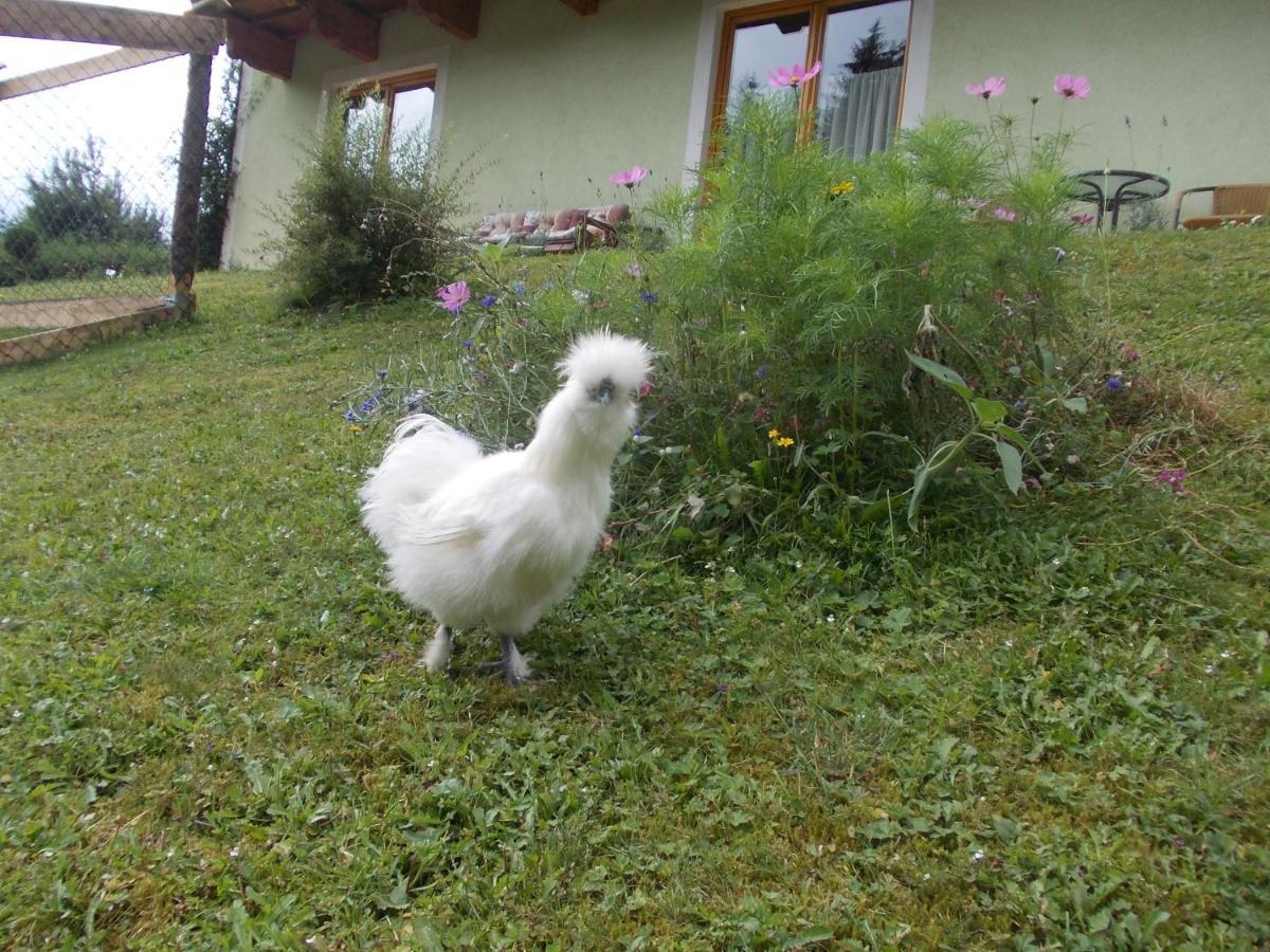 Appartement Heidi By Schladmingurlaub Ramsau am Dachstein Luaran gambar